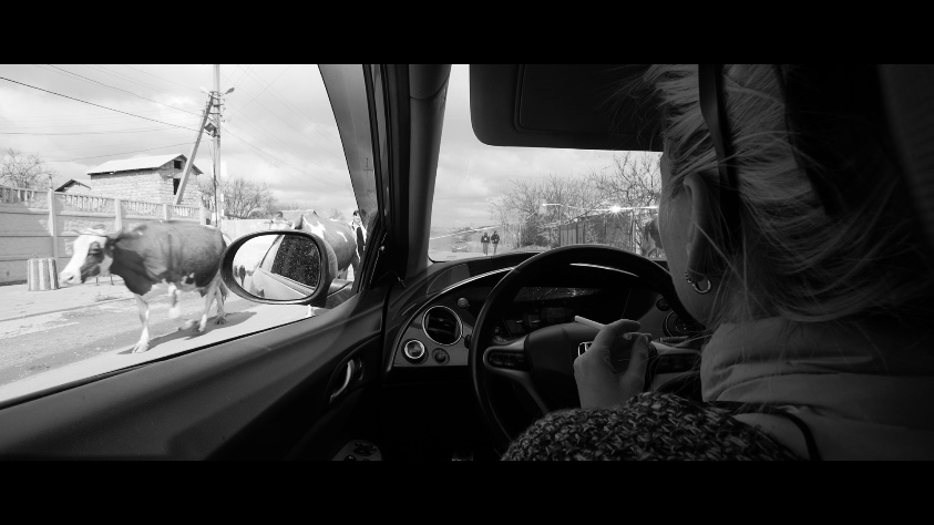 BW Кадр из фильма «BW»
