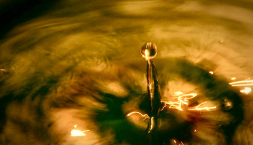 Кадр из фильма «Immersion»
