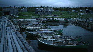 Кадр из фильма «Собиратели морской травы»