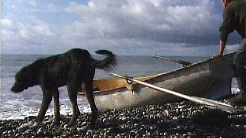 Кадр из фильма «The sea in Bambor»