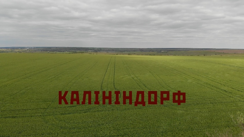 Кадр из фильма «Kalinindorf»