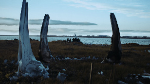Кадр из фильма «The Whale from Lorino»