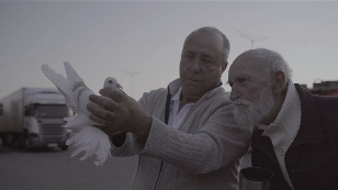 Grandpa Vitya's Doves
