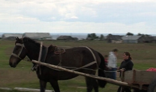Кадр из фильма «Postal horse»