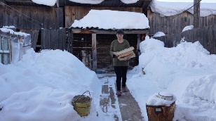 Siberia. Firewood for mobilized men