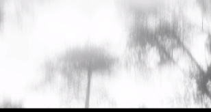 The shadow escapes me