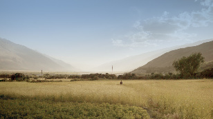 Rhythms of Lost Time