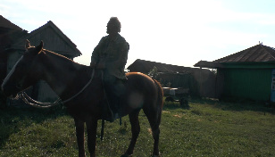 Родня