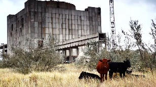 Горькие воды