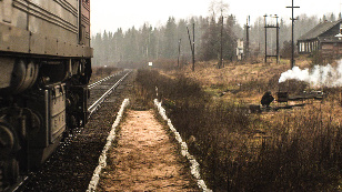 What russian forests are rustling about