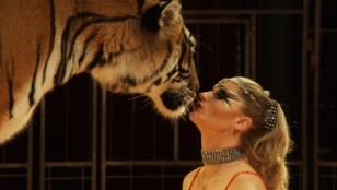 Wild Women, Gentle Beasts