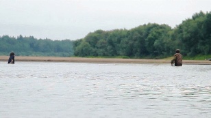 Film for one person