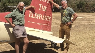 Bloody tusks