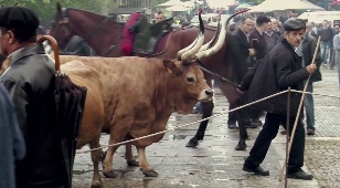 Чудо св. Антония