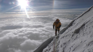 The high-altitude gene or how to get to Everest