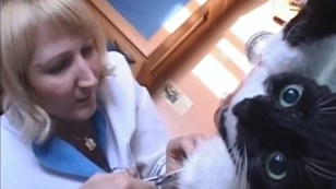 Her family and other animals
