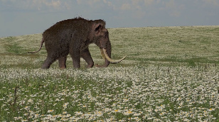 Antiquities of the Perm region
