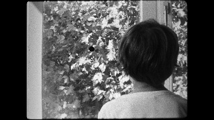 Images from stone