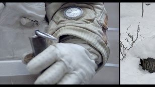 Cosmos and Paleontology