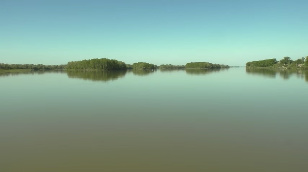 Part of the habitat