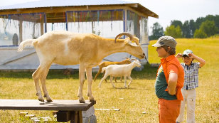Farmers
