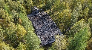 Cities are buried in the woods