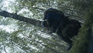 The Berry Hunter