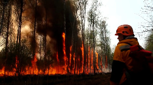 Yakutia. Fires