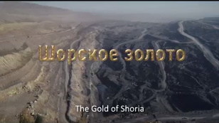 The Gold of Shors