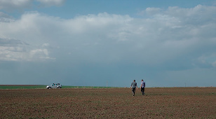 Thin Fields