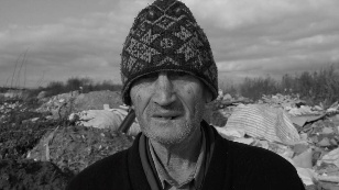 Брезентовое поле