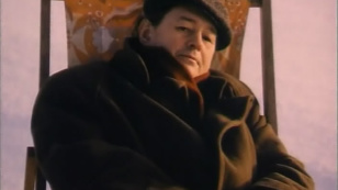 Баттерфляй