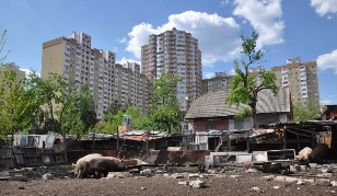 Мой дом