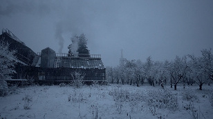 The Winter Garden's Tale