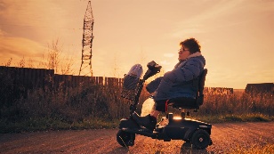 Лев и мальчик