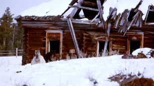 Winter road. Land of the fierce