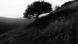 Blessed are the pure in heart, for they shall see God