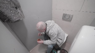 Three Lives of Boris