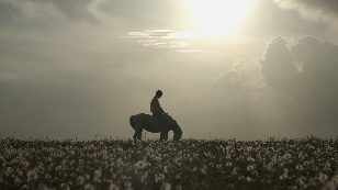 Я рисую лошадь