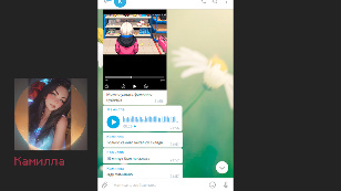 Курьеры Камиллы