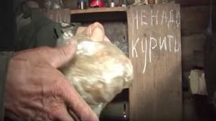 About Vladimir and Pitirim