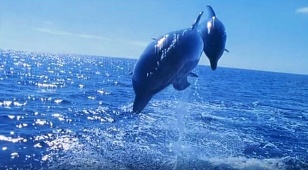 The great mystery of water