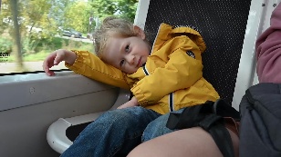 France through the eyes of a Russian emigrant